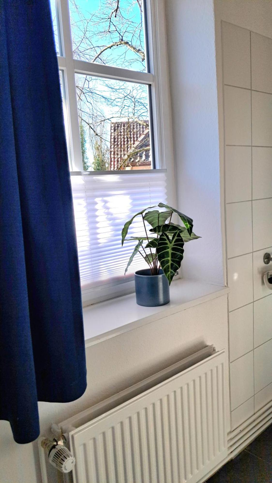 Apartment Brauner Hirsch Celle Exterior photo
